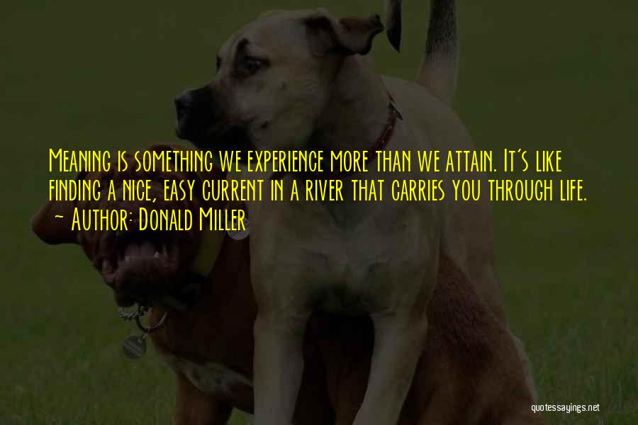 Donald Miller Quotes: Meaning Is Something We Experience More Than We Attain. It's Like Finding A Nice, Easy Current In A River That