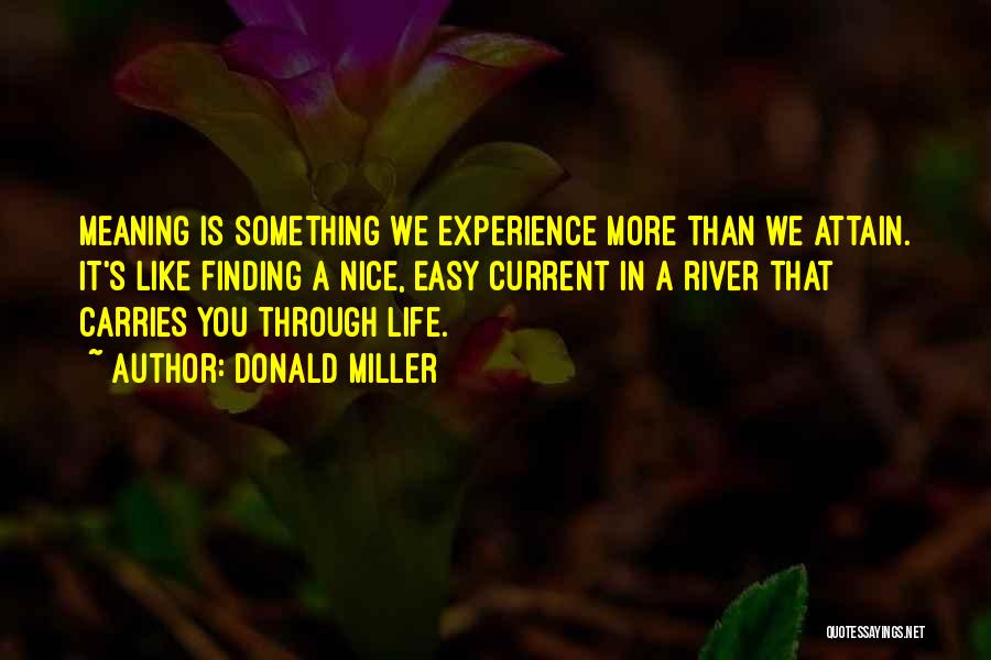 Donald Miller Quotes: Meaning Is Something We Experience More Than We Attain. It's Like Finding A Nice, Easy Current In A River That