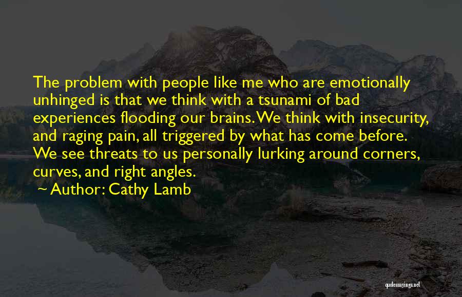Cathy Lamb Quotes: The Problem With People Like Me Who Are Emotionally Unhinged Is That We Think With A Tsunami Of Bad Experiences