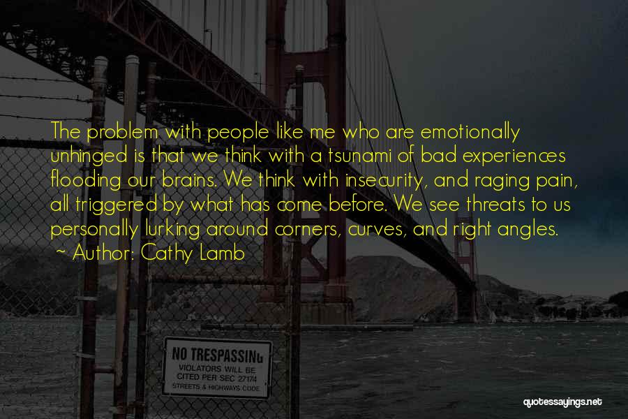 Cathy Lamb Quotes: The Problem With People Like Me Who Are Emotionally Unhinged Is That We Think With A Tsunami Of Bad Experiences