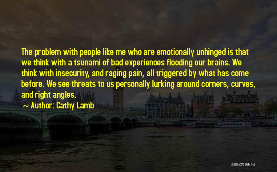 Cathy Lamb Quotes: The Problem With People Like Me Who Are Emotionally Unhinged Is That We Think With A Tsunami Of Bad Experiences