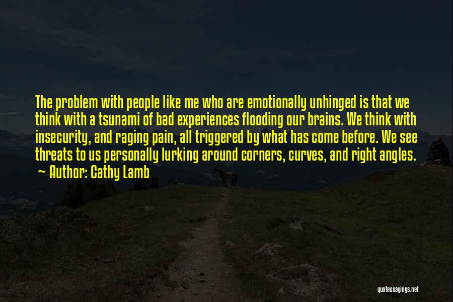 Cathy Lamb Quotes: The Problem With People Like Me Who Are Emotionally Unhinged Is That We Think With A Tsunami Of Bad Experiences