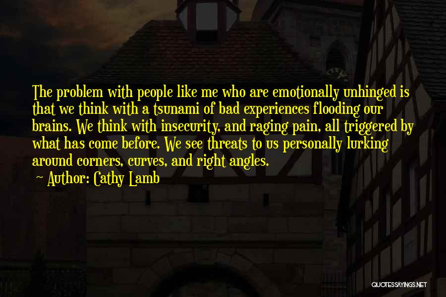 Cathy Lamb Quotes: The Problem With People Like Me Who Are Emotionally Unhinged Is That We Think With A Tsunami Of Bad Experiences