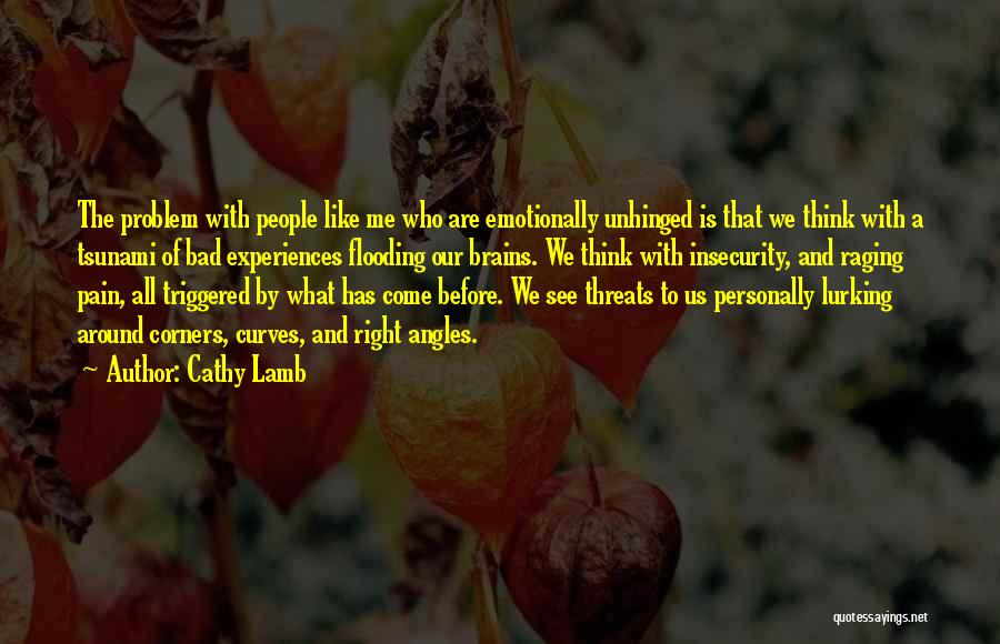 Cathy Lamb Quotes: The Problem With People Like Me Who Are Emotionally Unhinged Is That We Think With A Tsunami Of Bad Experiences