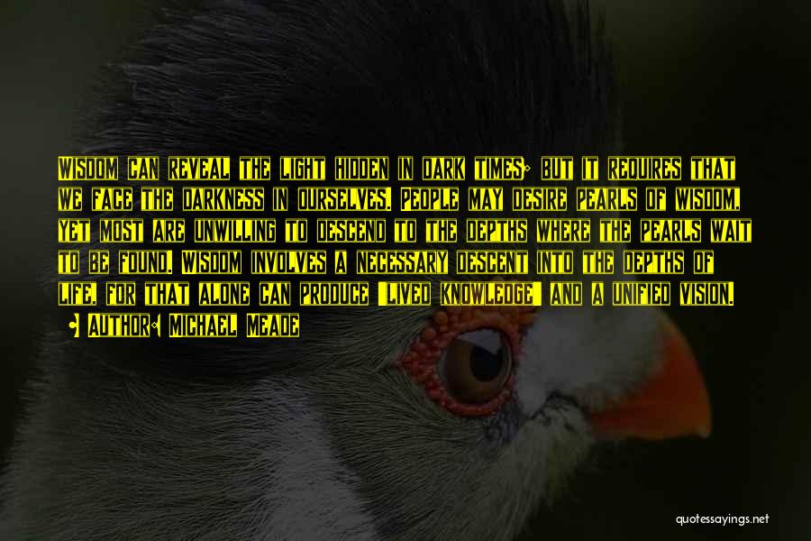 Michael Meade Quotes: Wisdom Can Reveal The Light Hidden In Dark Times; But It Requires That We Face The Darkness In Ourselves. People