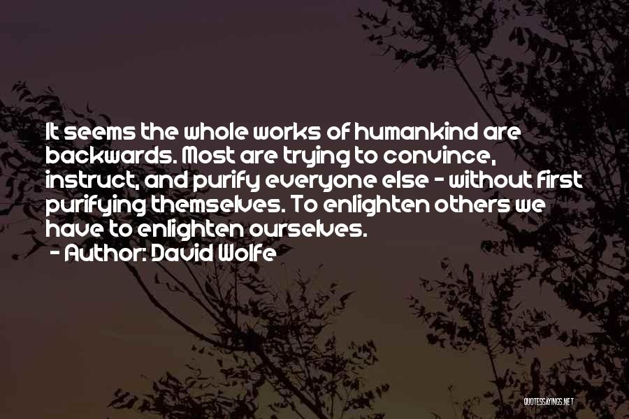 David Wolfe Quotes: It Seems The Whole Works Of Humankind Are Backwards. Most Are Trying To Convince, Instruct, And Purify Everyone Else -