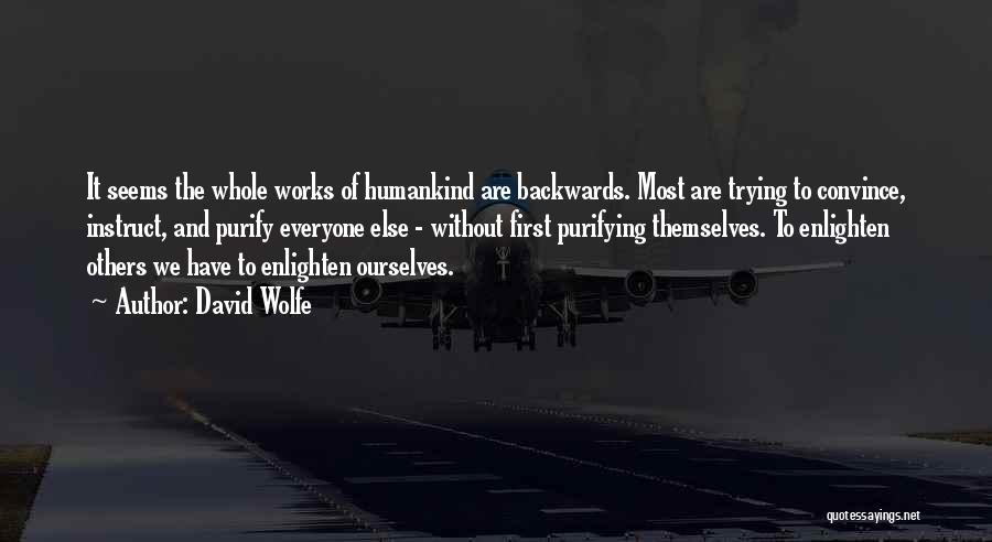 David Wolfe Quotes: It Seems The Whole Works Of Humankind Are Backwards. Most Are Trying To Convince, Instruct, And Purify Everyone Else -