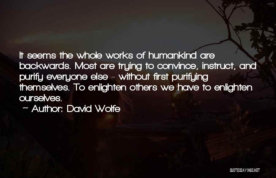 David Wolfe Quotes: It Seems The Whole Works Of Humankind Are Backwards. Most Are Trying To Convince, Instruct, And Purify Everyone Else -