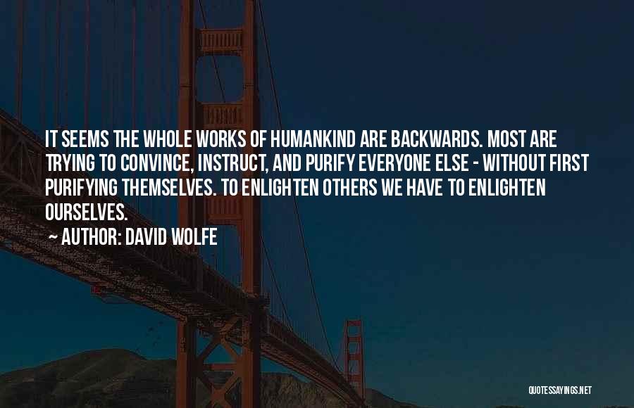 David Wolfe Quotes: It Seems The Whole Works Of Humankind Are Backwards. Most Are Trying To Convince, Instruct, And Purify Everyone Else -