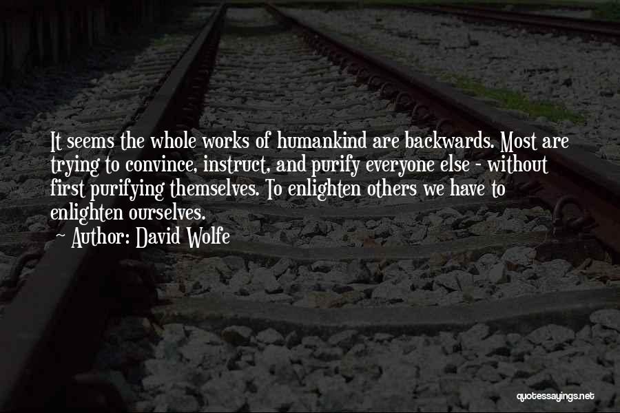 David Wolfe Quotes: It Seems The Whole Works Of Humankind Are Backwards. Most Are Trying To Convince, Instruct, And Purify Everyone Else -