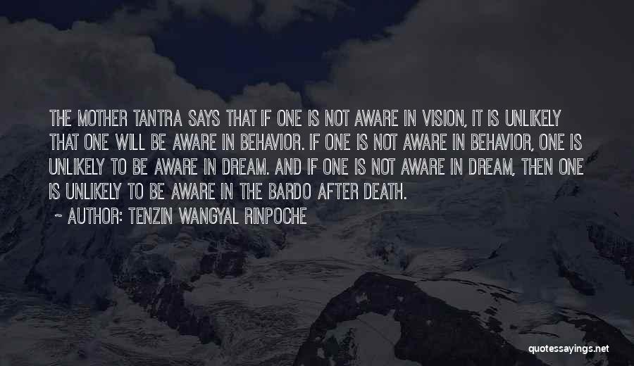 Tenzin Wangyal Rinpoche Quotes: The Mother Tantra Says That If One Is Not Aware In Vision, It Is Unlikely That One Will Be Aware