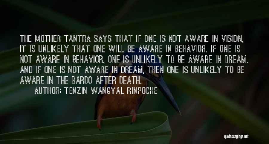 Tenzin Wangyal Rinpoche Quotes: The Mother Tantra Says That If One Is Not Aware In Vision, It Is Unlikely That One Will Be Aware