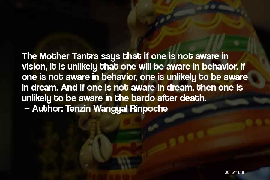 Tenzin Wangyal Rinpoche Quotes: The Mother Tantra Says That If One Is Not Aware In Vision, It Is Unlikely That One Will Be Aware