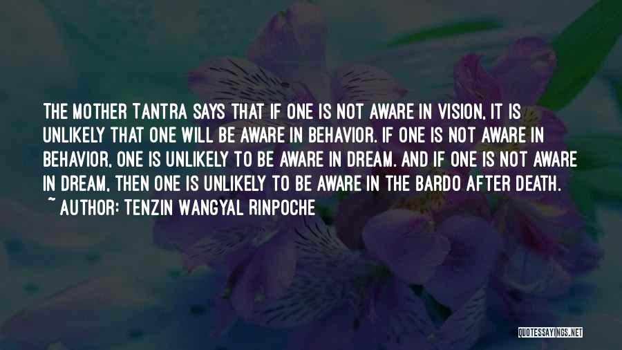 Tenzin Wangyal Rinpoche Quotes: The Mother Tantra Says That If One Is Not Aware In Vision, It Is Unlikely That One Will Be Aware