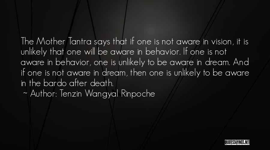 Tenzin Wangyal Rinpoche Quotes: The Mother Tantra Says That If One Is Not Aware In Vision, It Is Unlikely That One Will Be Aware