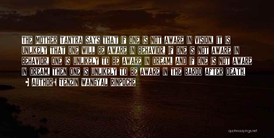 Tenzin Wangyal Rinpoche Quotes: The Mother Tantra Says That If One Is Not Aware In Vision, It Is Unlikely That One Will Be Aware