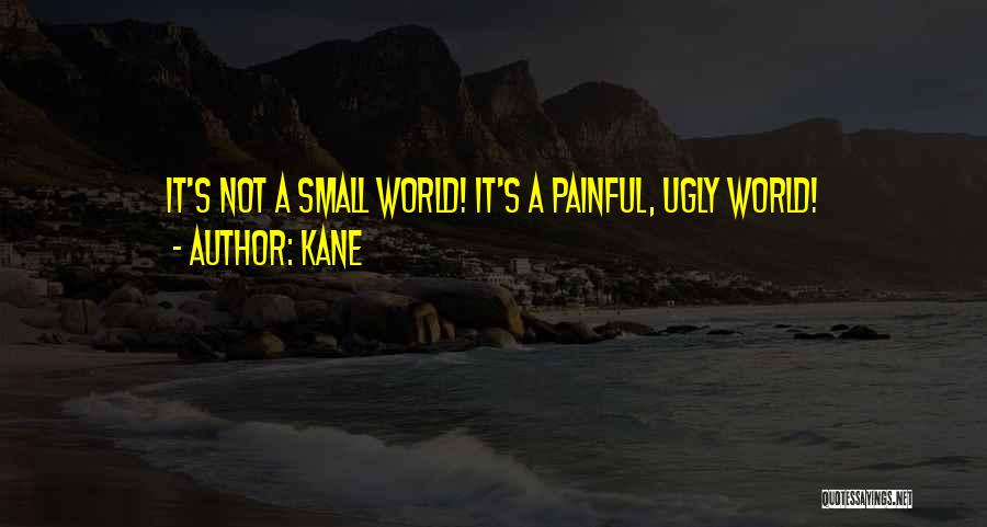 Kane Quotes: It's Not A Small World! It's A Painful, Ugly World!