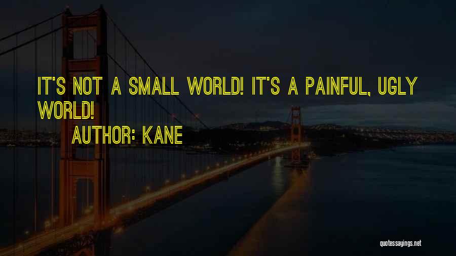 Kane Quotes: It's Not A Small World! It's A Painful, Ugly World!