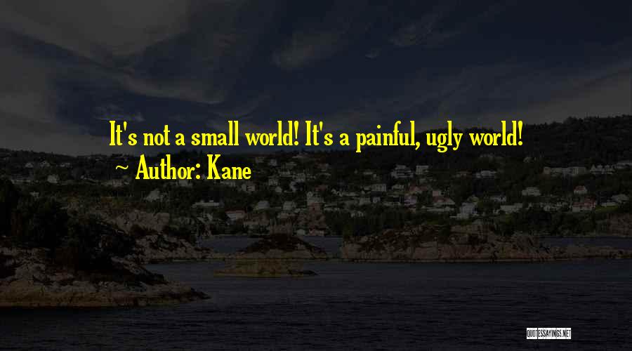 Kane Quotes: It's Not A Small World! It's A Painful, Ugly World!