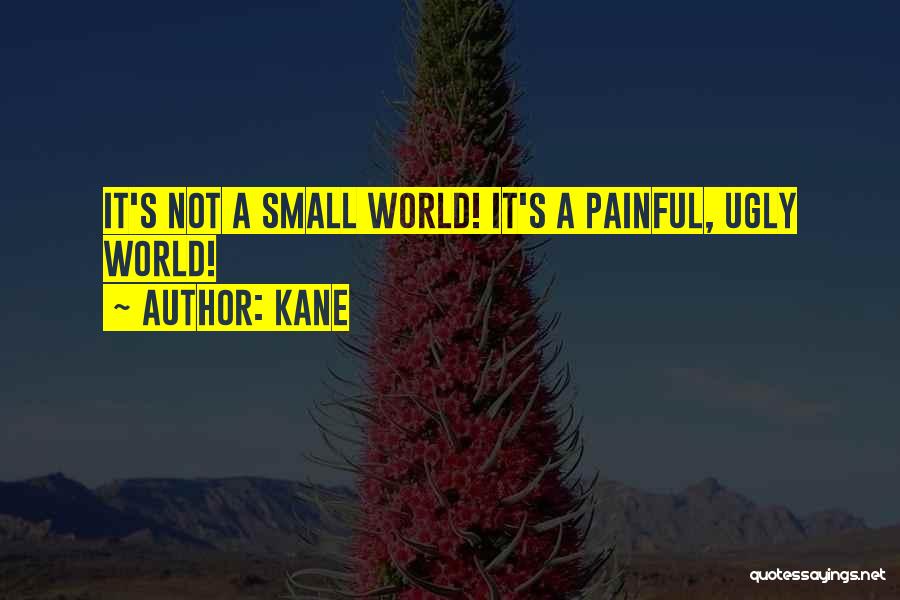 Kane Quotes: It's Not A Small World! It's A Painful, Ugly World!