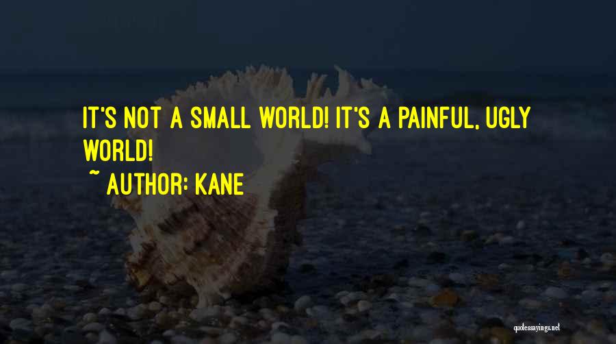 Kane Quotes: It's Not A Small World! It's A Painful, Ugly World!