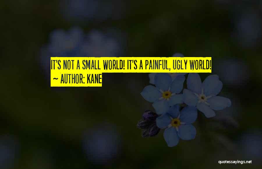 Kane Quotes: It's Not A Small World! It's A Painful, Ugly World!