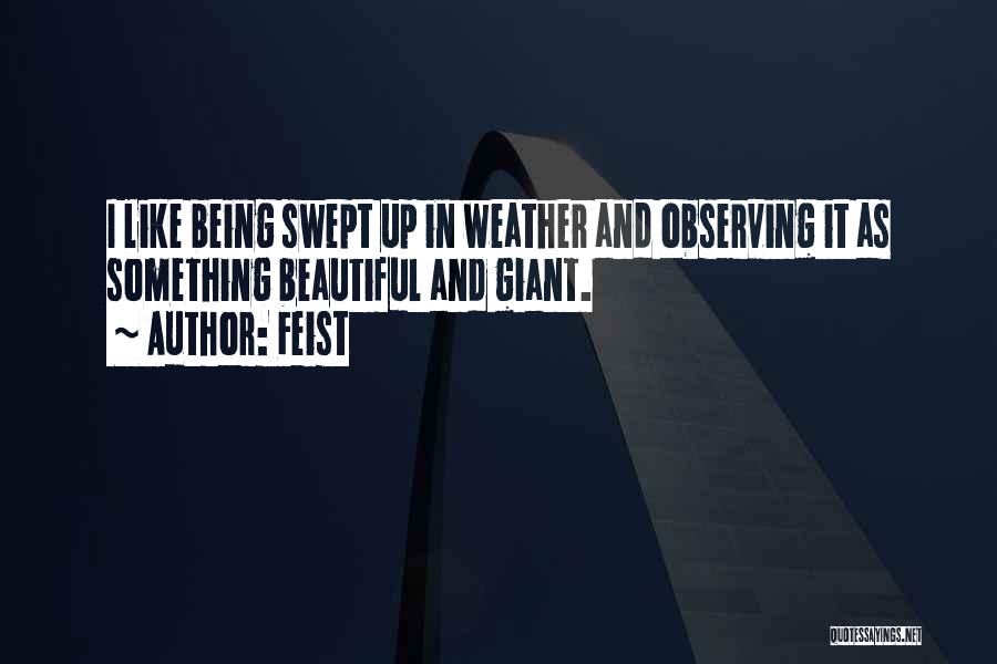 Feist Quotes: I Like Being Swept Up In Weather And Observing It As Something Beautiful And Giant.