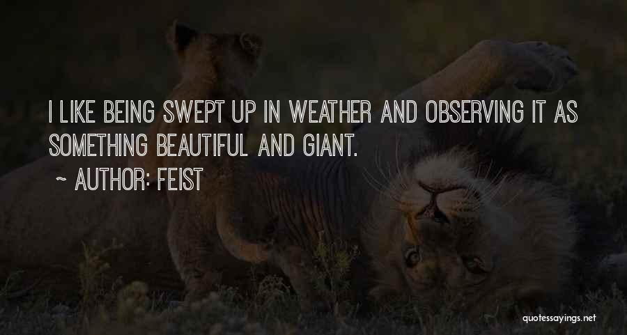 Feist Quotes: I Like Being Swept Up In Weather And Observing It As Something Beautiful And Giant.