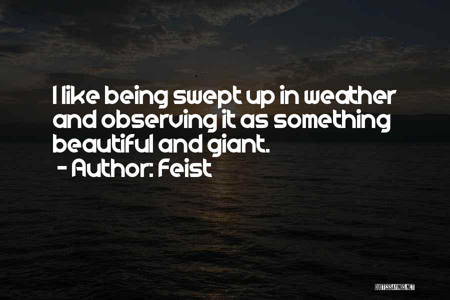 Feist Quotes: I Like Being Swept Up In Weather And Observing It As Something Beautiful And Giant.