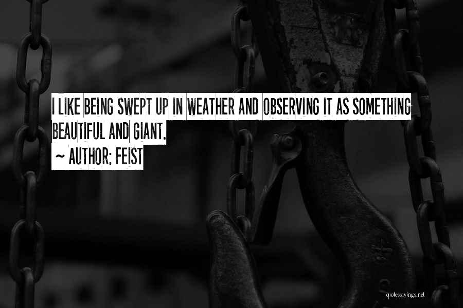 Feist Quotes: I Like Being Swept Up In Weather And Observing It As Something Beautiful And Giant.