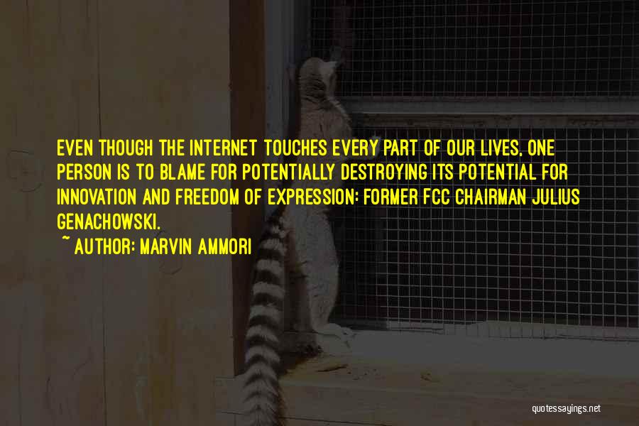 Marvin Ammori Quotes: Even Though The Internet Touches Every Part Of Our Lives, One Person Is To Blame For Potentially Destroying Its Potential