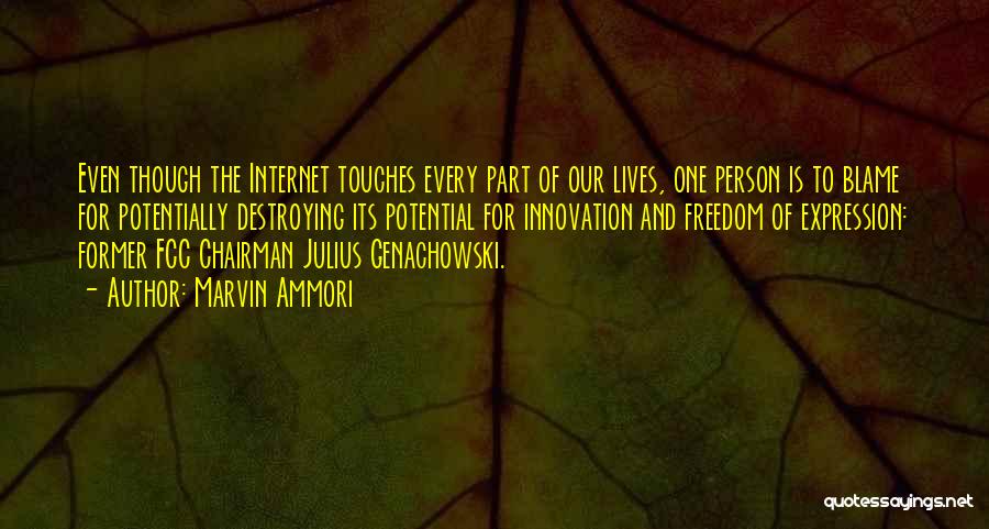 Marvin Ammori Quotes: Even Though The Internet Touches Every Part Of Our Lives, One Person Is To Blame For Potentially Destroying Its Potential