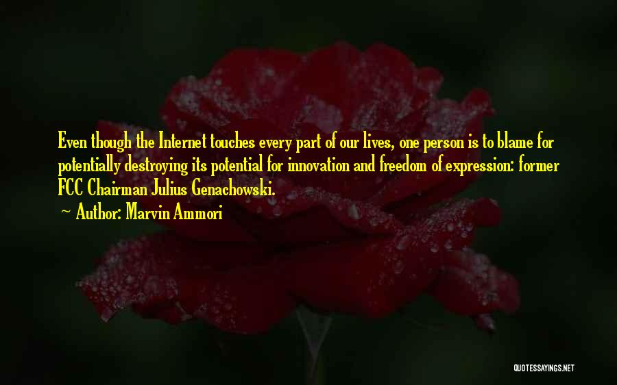 Marvin Ammori Quotes: Even Though The Internet Touches Every Part Of Our Lives, One Person Is To Blame For Potentially Destroying Its Potential