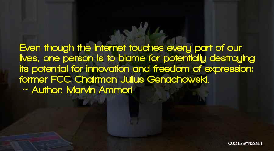 Marvin Ammori Quotes: Even Though The Internet Touches Every Part Of Our Lives, One Person Is To Blame For Potentially Destroying Its Potential