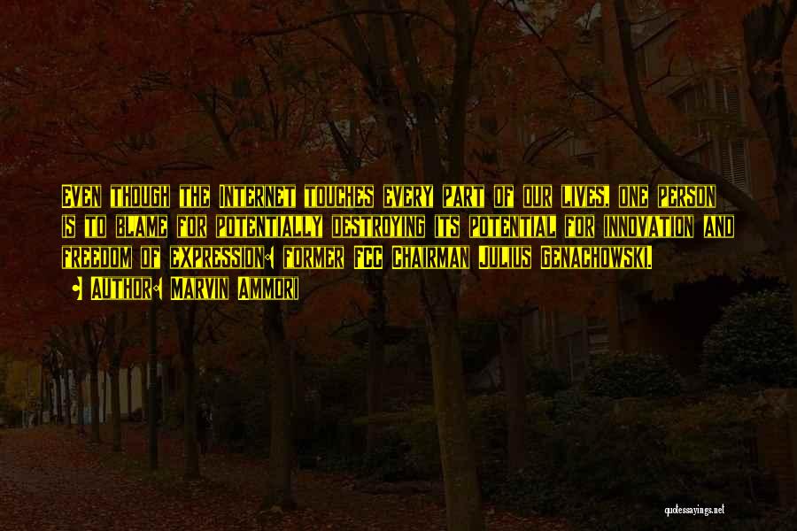 Marvin Ammori Quotes: Even Though The Internet Touches Every Part Of Our Lives, One Person Is To Blame For Potentially Destroying Its Potential