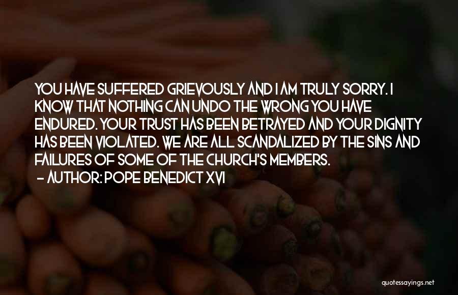 Pope Benedict XVI Quotes: You Have Suffered Grievously And I Am Truly Sorry. I Know That Nothing Can Undo The Wrong You Have Endured.