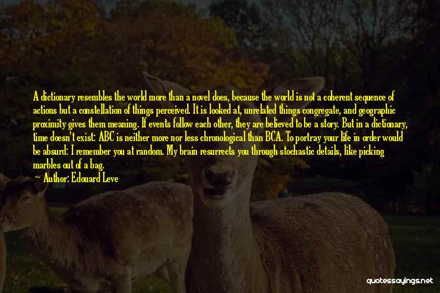 Edouard Leve Quotes: A Dictionary Resembles The World More Than A Novel Does, Because The World Is Not A Coherent Sequence Of Actions