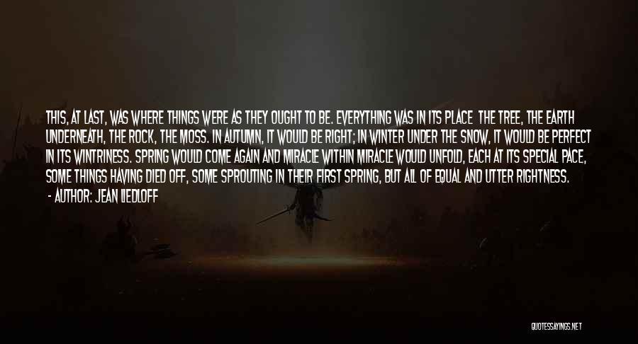 Jean Liedloff Quotes: This, At Last, Was Where Things Were As They Ought To Be. Everything Was In Its Place The Tree, The