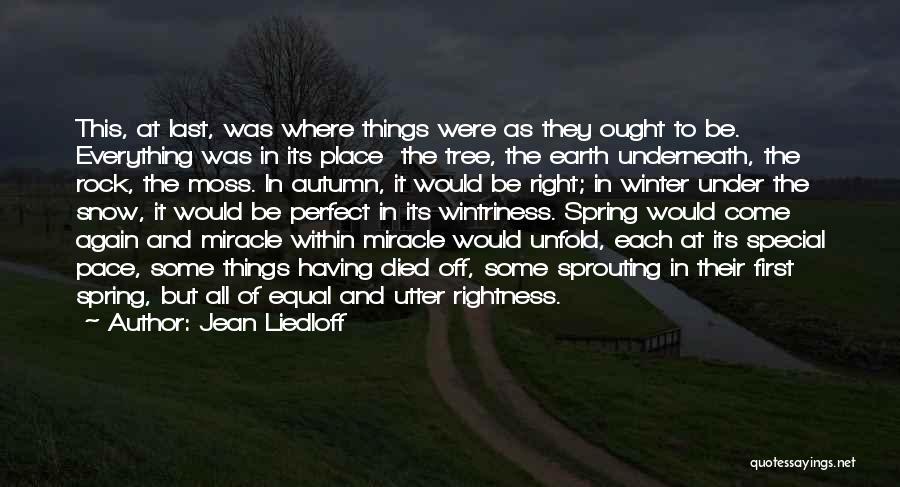 Jean Liedloff Quotes: This, At Last, Was Where Things Were As They Ought To Be. Everything Was In Its Place The Tree, The
