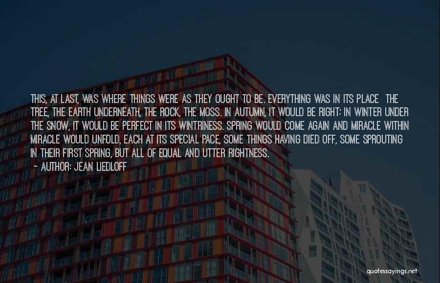 Jean Liedloff Quotes: This, At Last, Was Where Things Were As They Ought To Be. Everything Was In Its Place The Tree, The