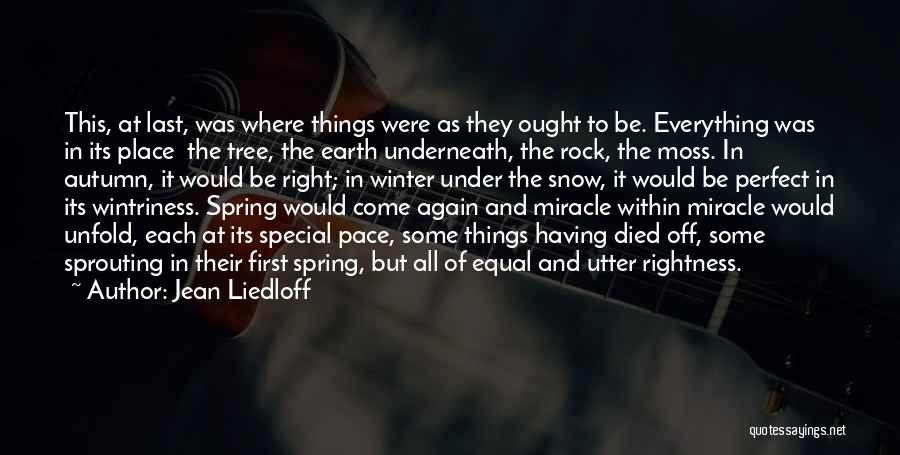 Jean Liedloff Quotes: This, At Last, Was Where Things Were As They Ought To Be. Everything Was In Its Place The Tree, The