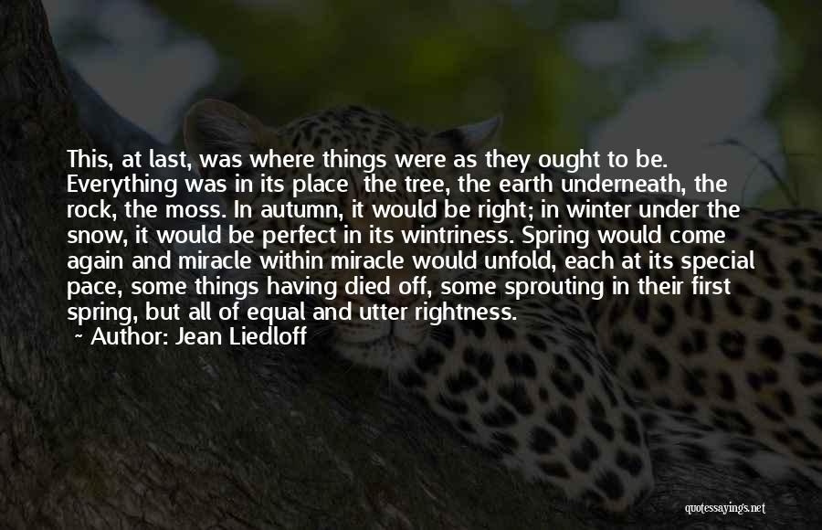 Jean Liedloff Quotes: This, At Last, Was Where Things Were As They Ought To Be. Everything Was In Its Place The Tree, The