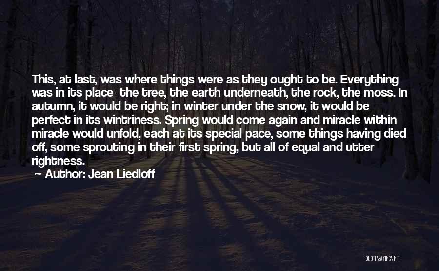Jean Liedloff Quotes: This, At Last, Was Where Things Were As They Ought To Be. Everything Was In Its Place The Tree, The