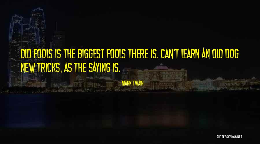 188th Mp Quotes By Mark Twain 188th Mp Quotes By Mark Twain
