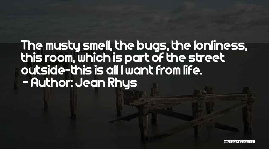 Jean Rhys Quotes: The Musty Smell, The Bugs, The Lonliness, This Room, Which Is Part Of The Street Outside-this Is All I Want