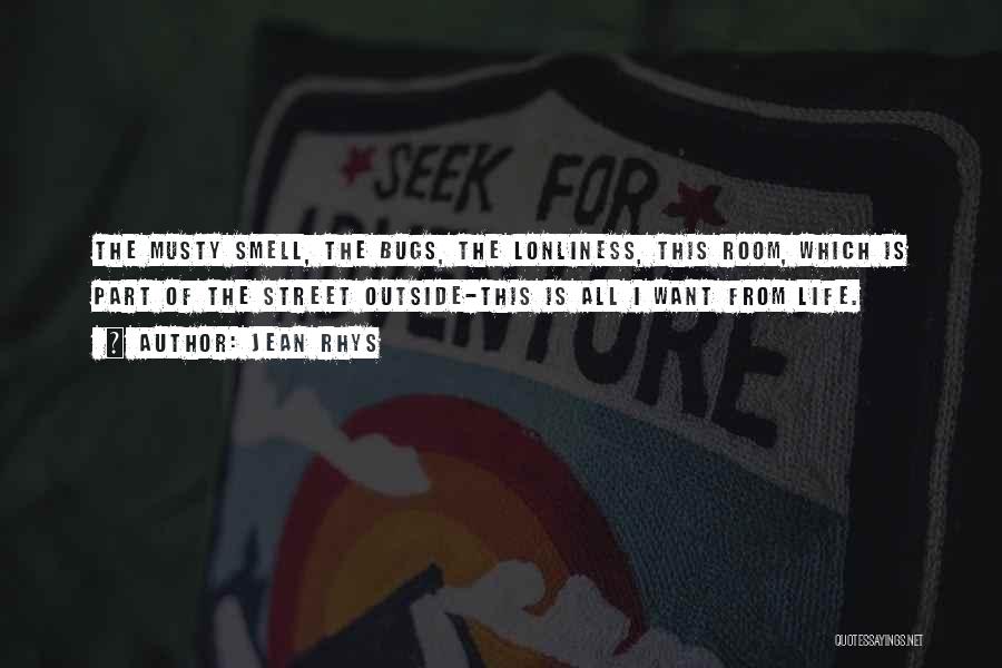 Jean Rhys Quotes: The Musty Smell, The Bugs, The Lonliness, This Room, Which Is Part Of The Street Outside-this Is All I Want