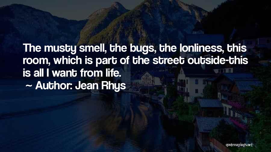 Jean Rhys Quotes: The Musty Smell, The Bugs, The Lonliness, This Room, Which Is Part Of The Street Outside-this Is All I Want