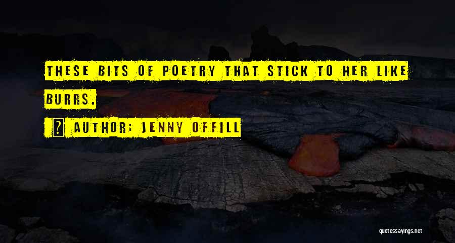 Jenny Offill Quotes: These Bits Of Poetry That Stick To Her Like Burrs.