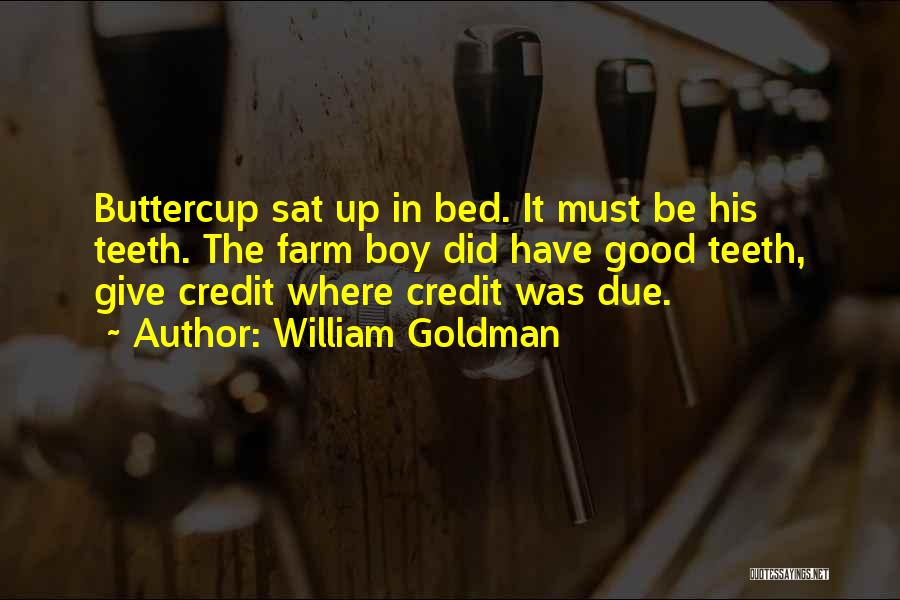 William Goldman Quotes: Buttercup Sat Up In Bed. It Must Be His Teeth. The Farm Boy Did Have Good Teeth, Give Credit Where