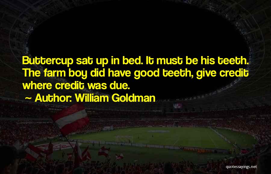 William Goldman Quotes: Buttercup Sat Up In Bed. It Must Be His Teeth. The Farm Boy Did Have Good Teeth, Give Credit Where
